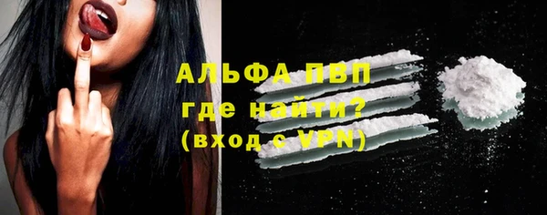 прущие грибы Белоозёрский